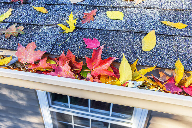 Roof with Fall leaves on it
