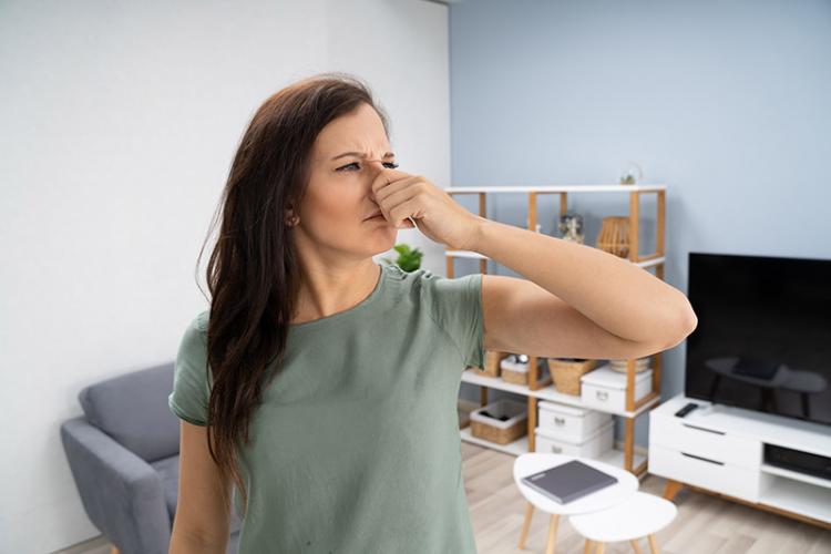 5 Common A/C Smells and What They Mean