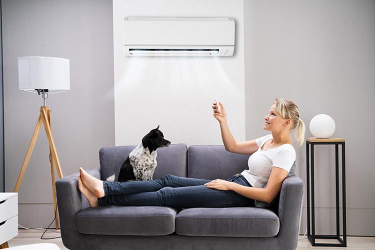 AC Tips for Pet Owners
