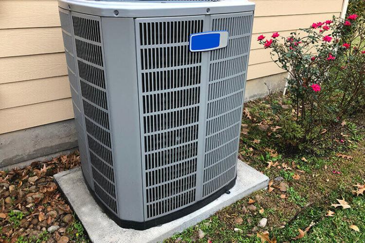 Insects Coming From HVAC System