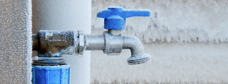 Winterize Plumbing